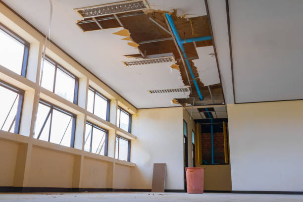  Alderson, WV Water damage restoration Pros