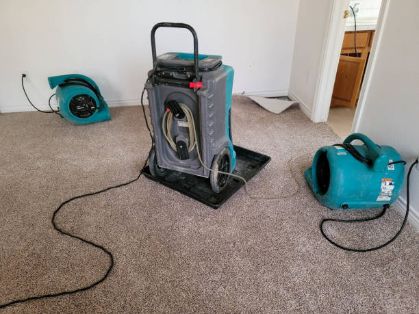 Best Emergency water damage restoration  in Alderson, WV