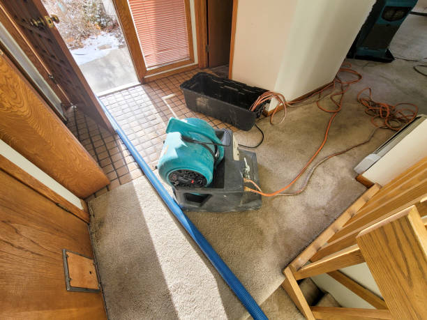 Best Water damage cleanup near me  in Alderson, WV
