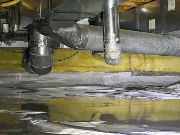Best Fire Damage Restoration  in Alderson, WV